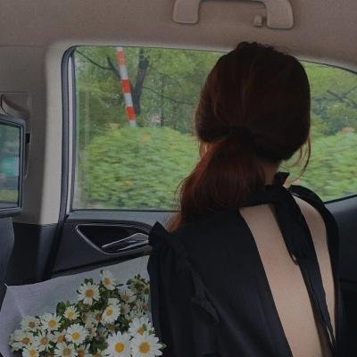 高卢英雄大战凯撒王子